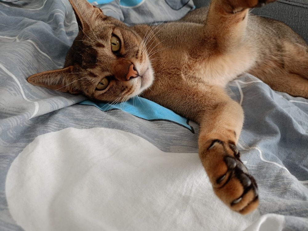 Photograph by Елена Сухорученкова