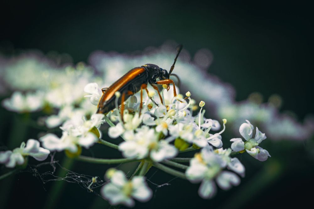 Фотография автора Сергей Назаредский
