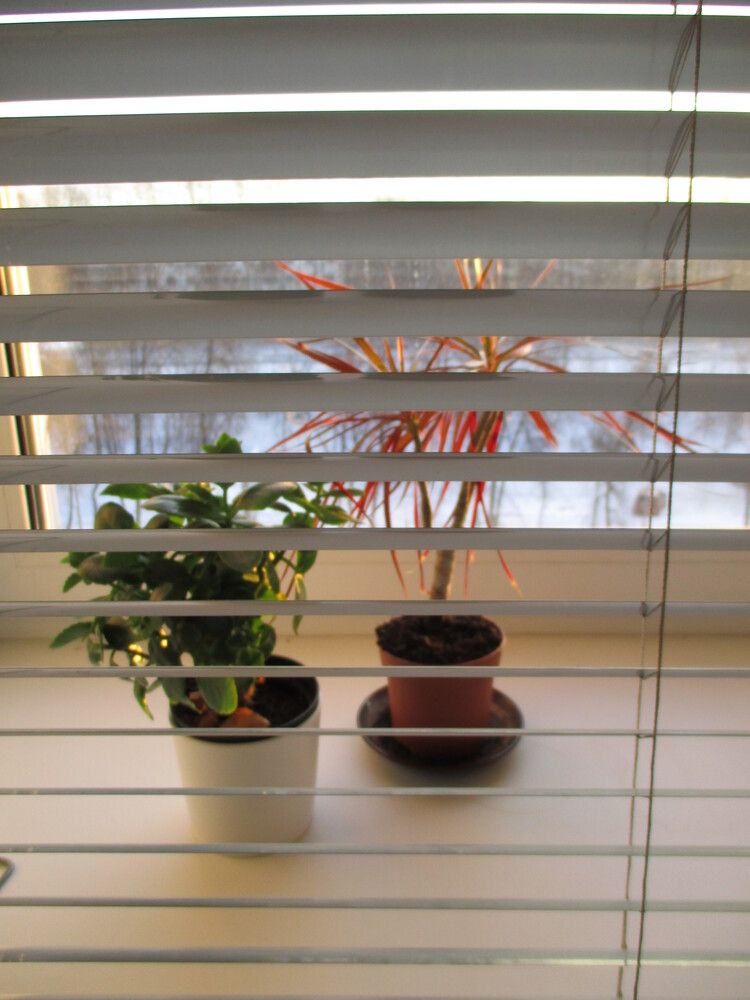 Photograph by Алексей Банных