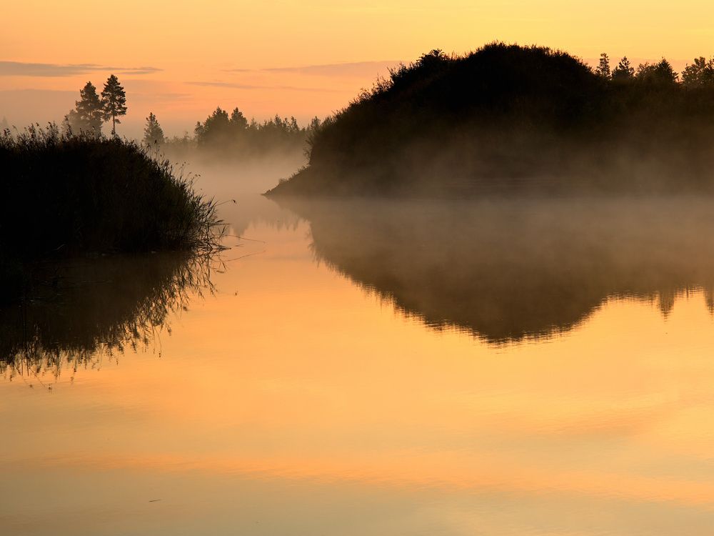 Photograph by Дмитрий Павлов
