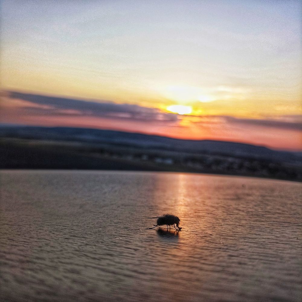 Photograph by Лариса Мик