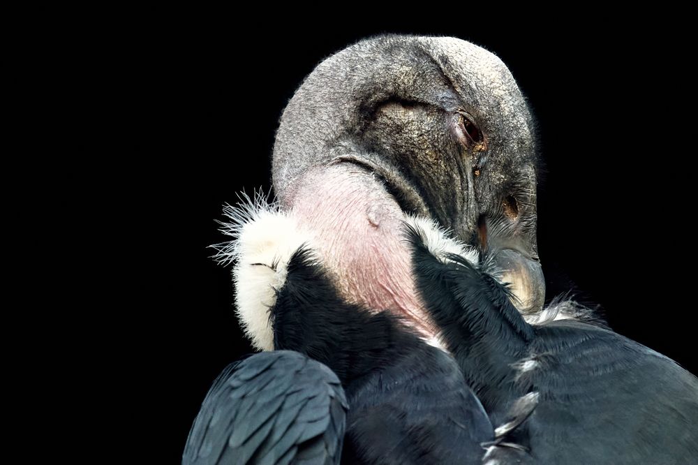 Photograph by Леонтьева Татьяна