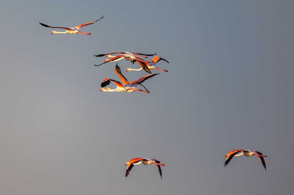 Photograph by Сергей Гук