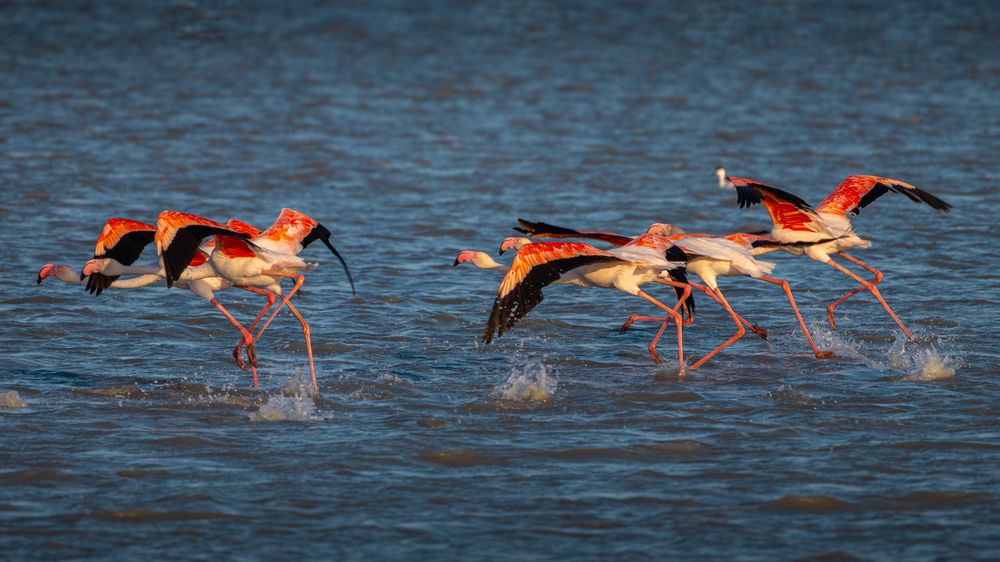 Photograph by Сергей Гук