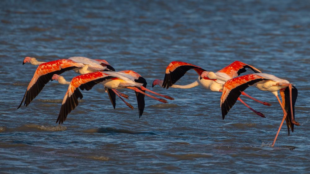 Photograph by Сергей Гук