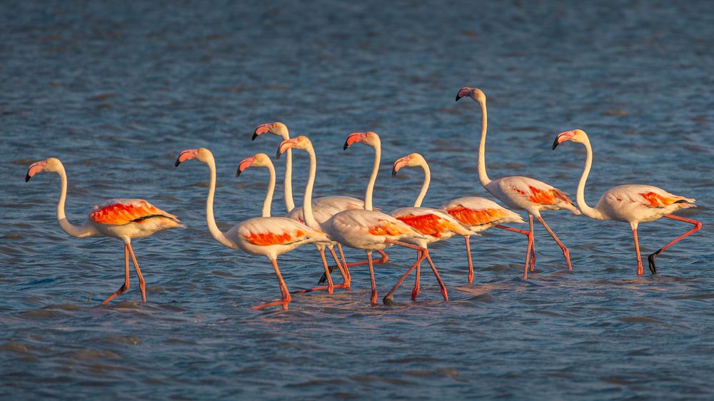 Photograph by Сергей Гук