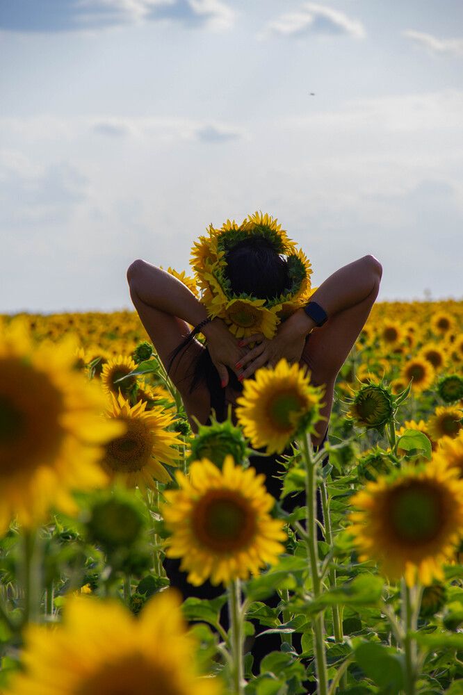 Photograph by Владимир Александрович