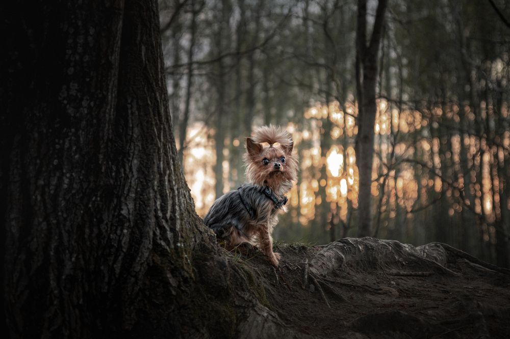 Photograph by Данил Шукан
