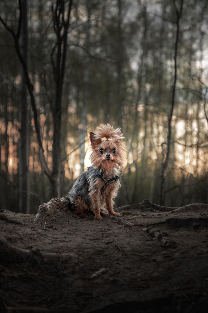 Photograph by Данил Шукан