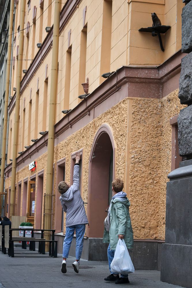 Фотография автора баглык вячеслав