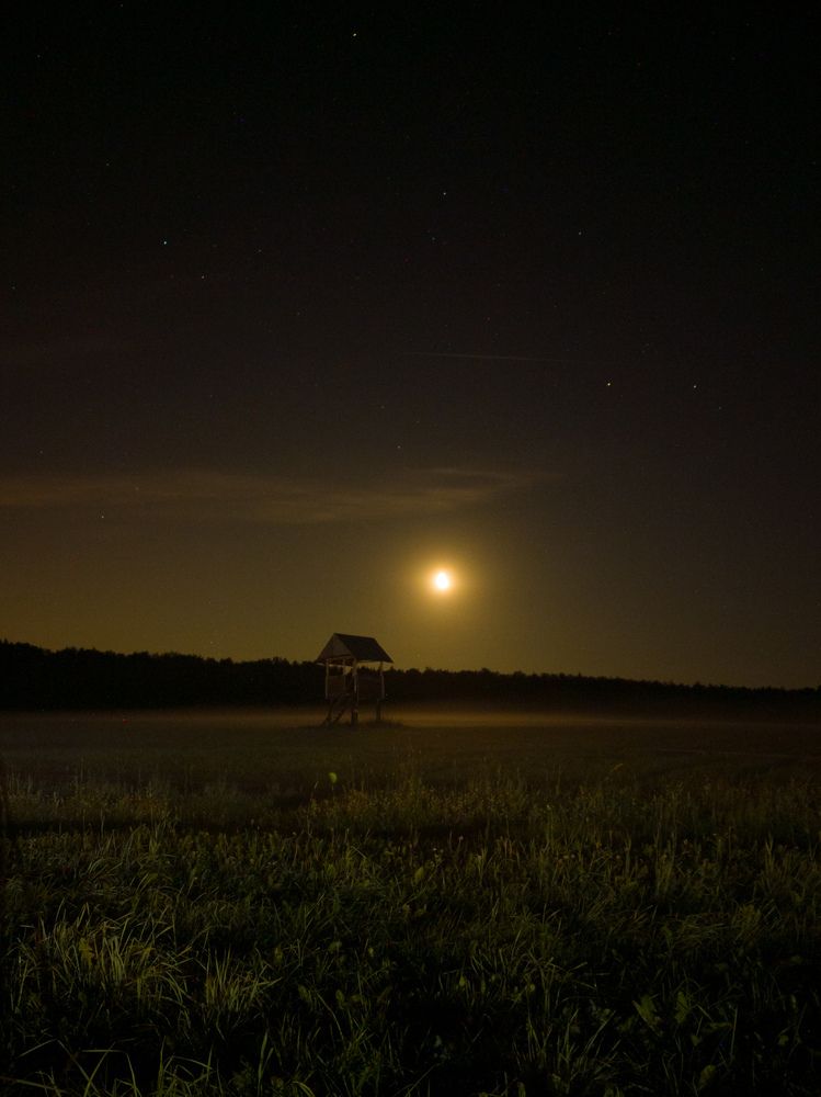 Photograph by Павел Герасимов