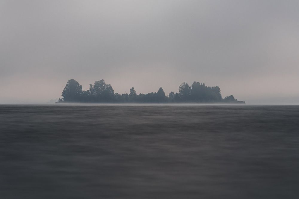 Photograph by Алексей Чеботарев