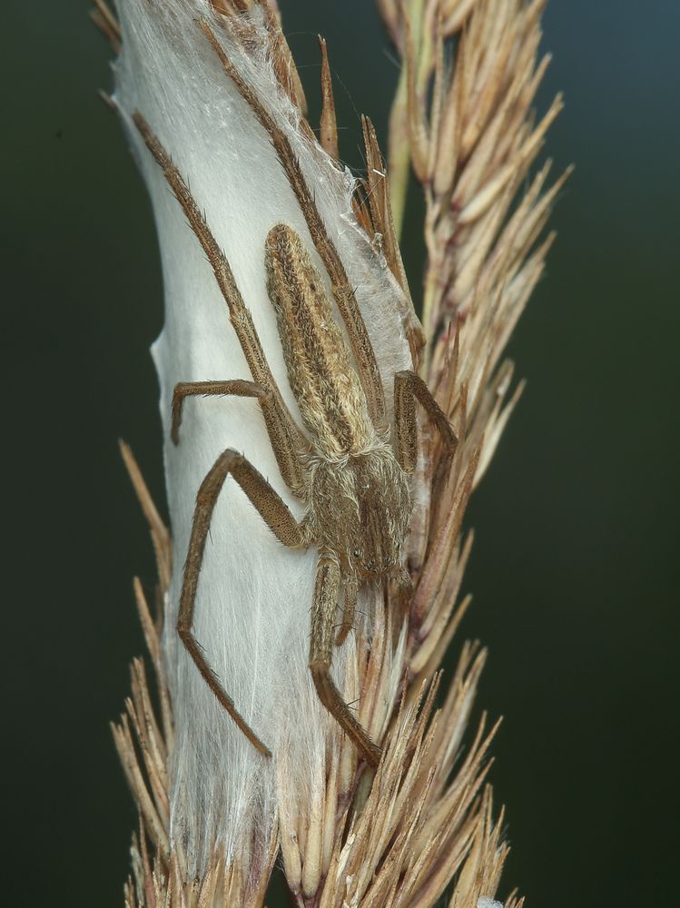 Photograph by Дмитрий Фетисов