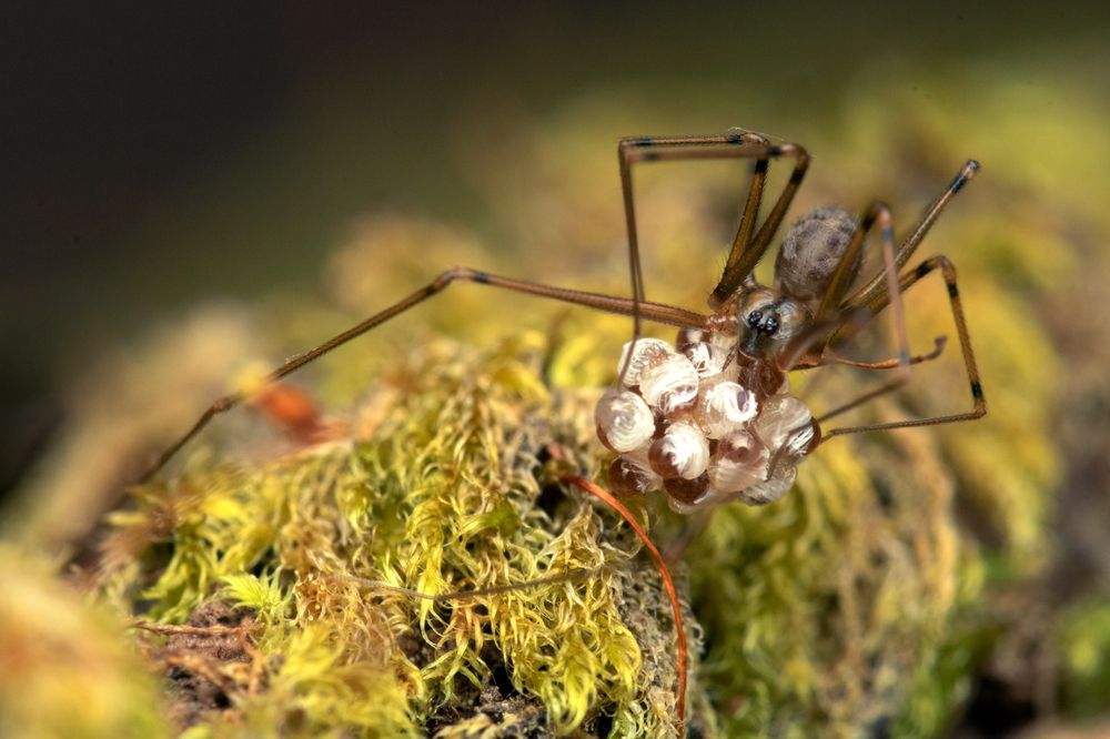 Photograph by Paulo Valencia