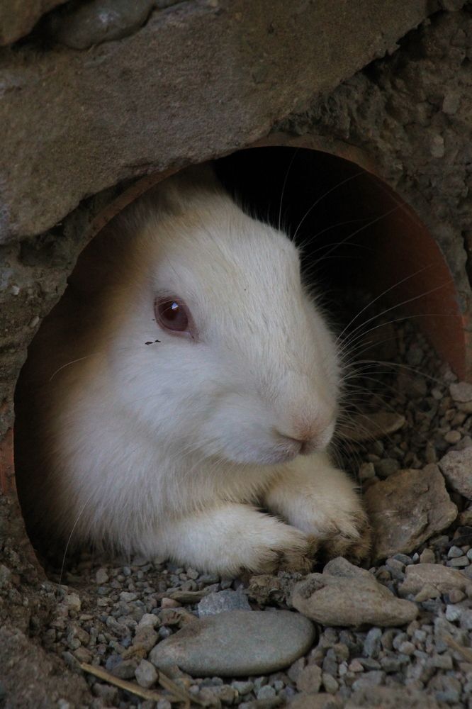 Photograph by Waleed Yousuf Alwahaibi