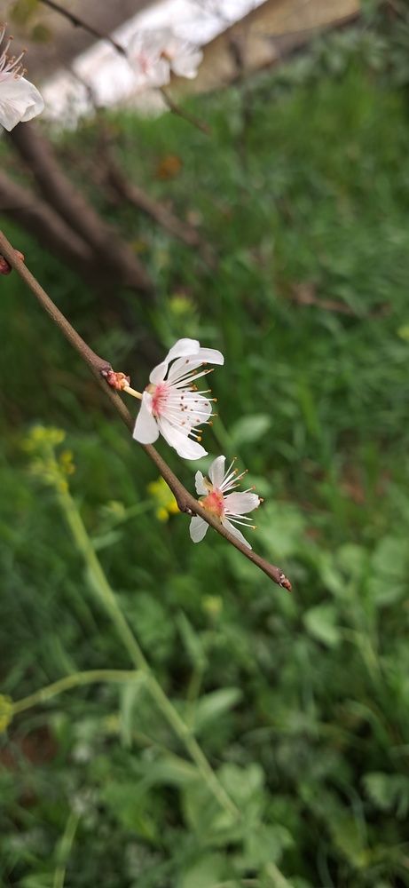 Photo #12458509