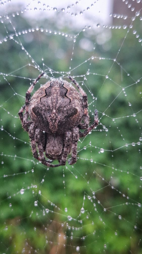 Photograph by Татьяна Кириллова