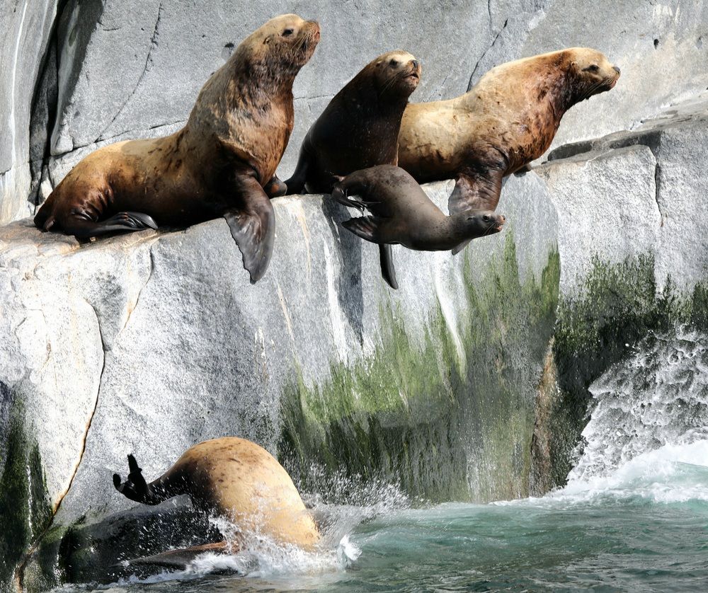 Photograph by Лариса Ким