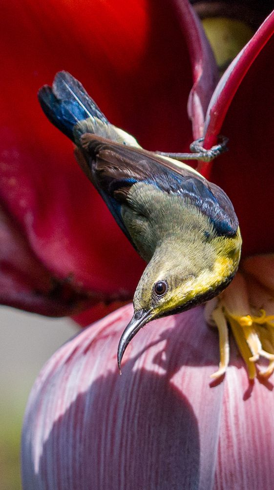 Photograph by Madhurya Mozumder