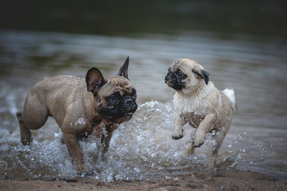 Photograph by Елена Самусенкова