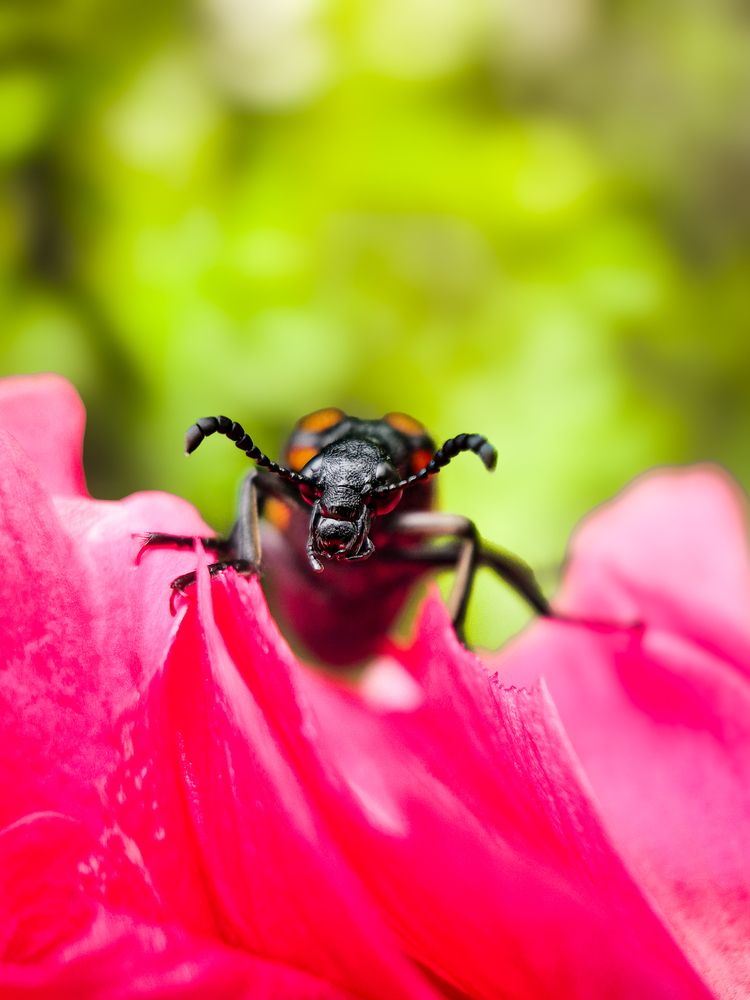 Photograph by Prateek Maurya