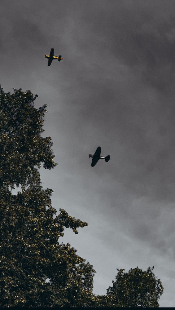 Photograph by Татьяна