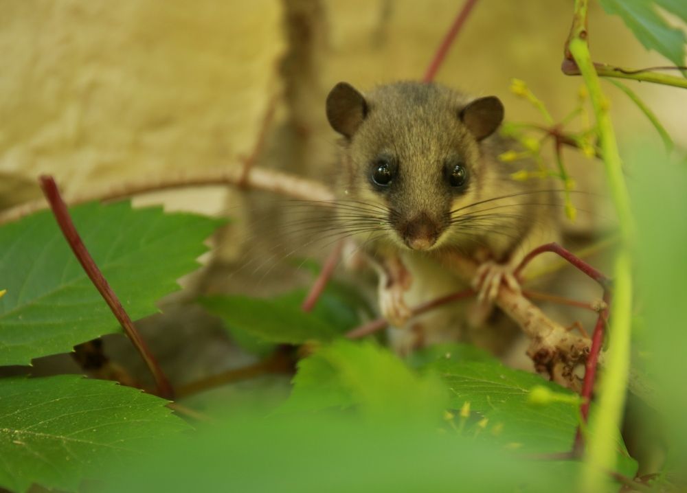 Photograph by Марина Юрченко