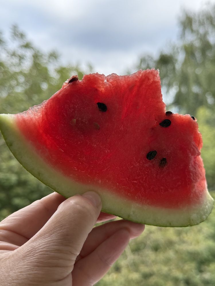 Мой кусочек