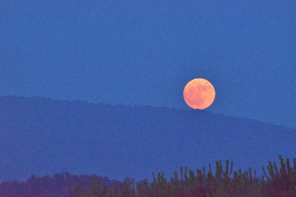 Photograph by Simone Ciulli