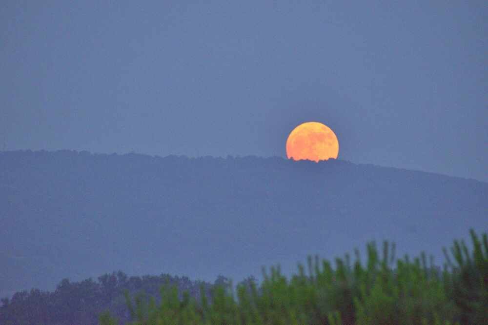 Photograph by Simone Ciulli