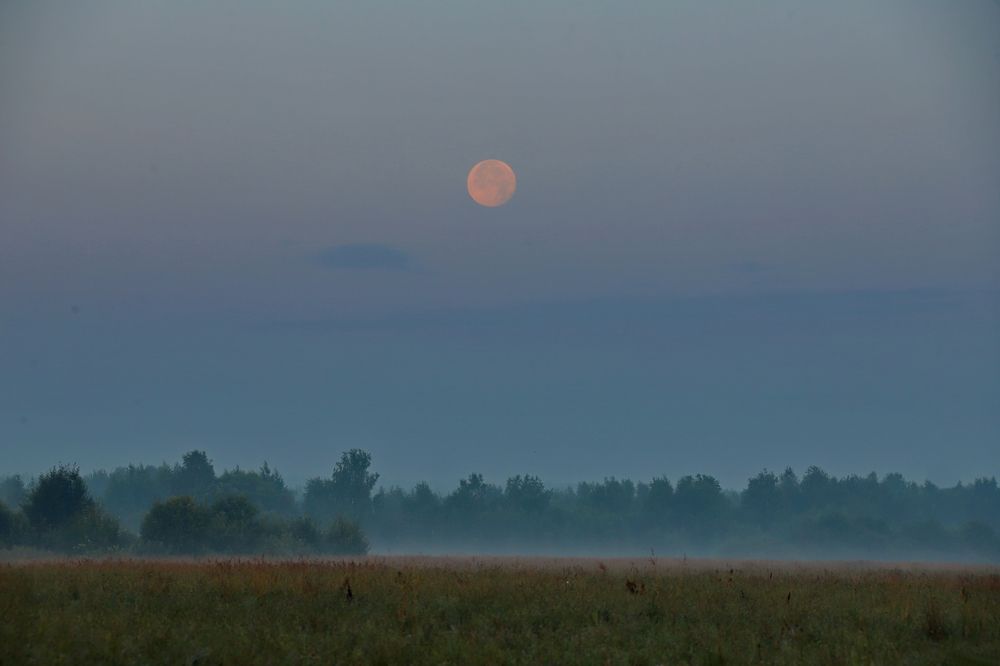 Фотография автора Илья К