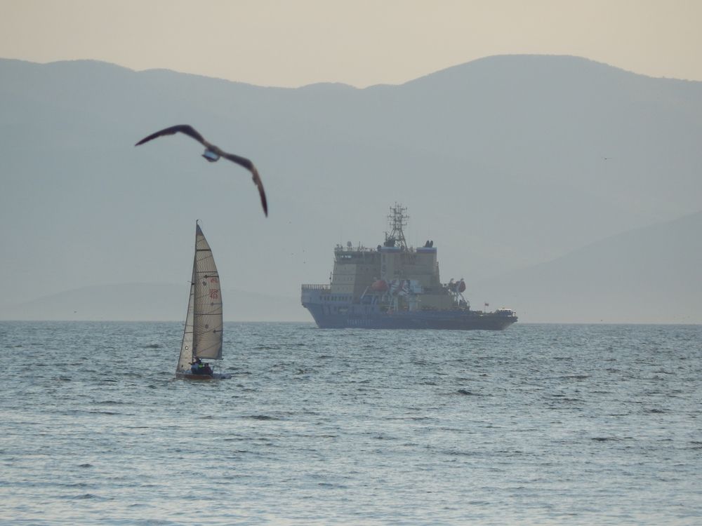 Морская душа.