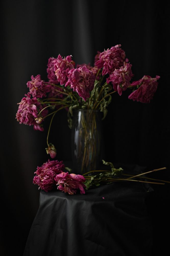 Photograph by Оксана Артимович