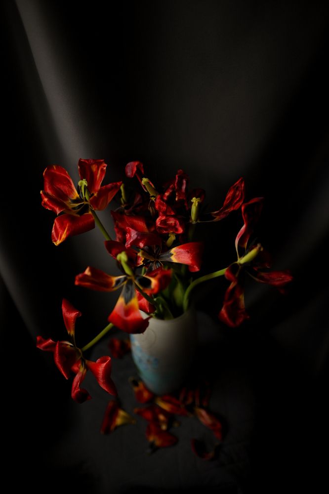 Photograph by Оксана Артимович