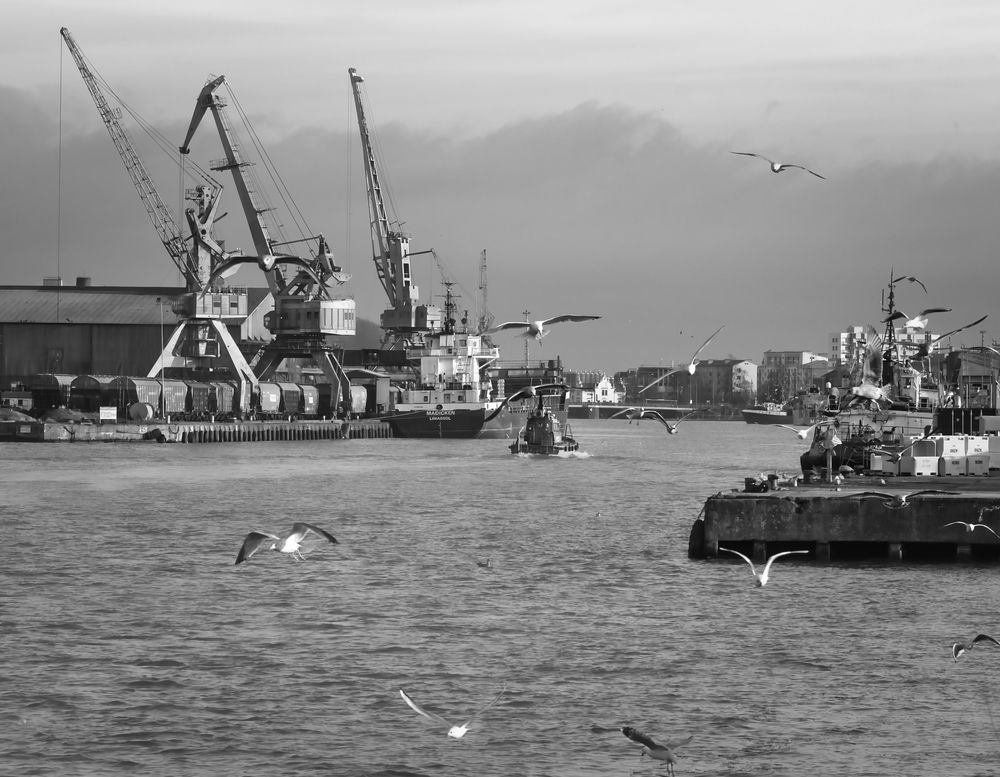 Photograph by Kulikova Albina