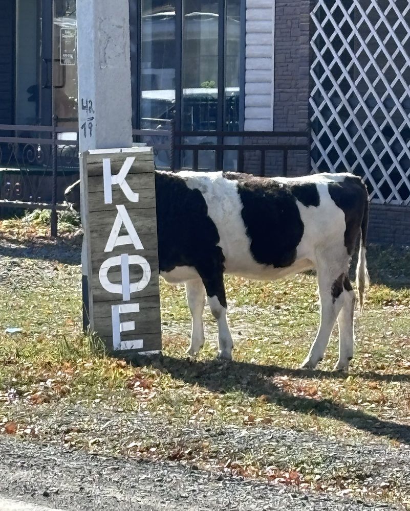 Придорожное кафе