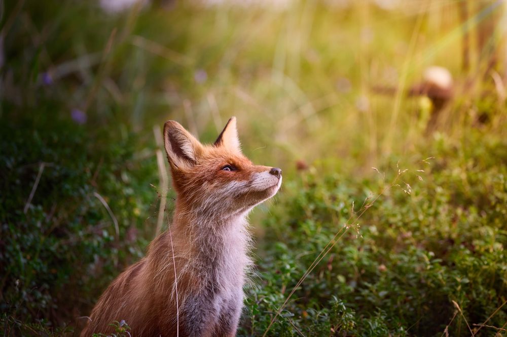 Photograph by Valentin Kolinko