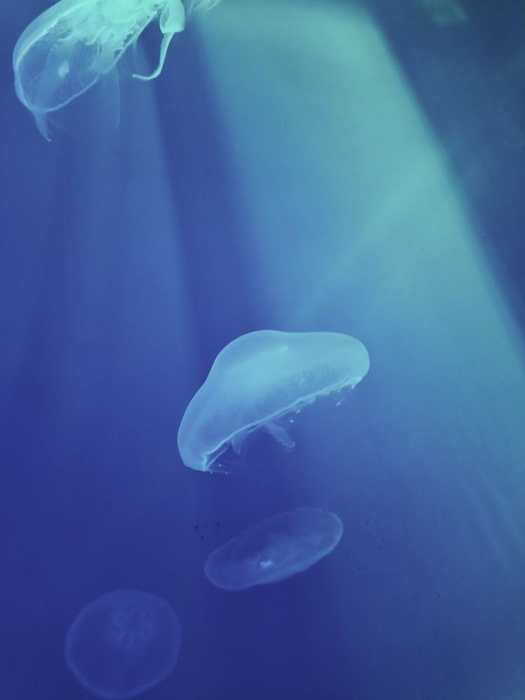 Photograph by Юрий Богачев