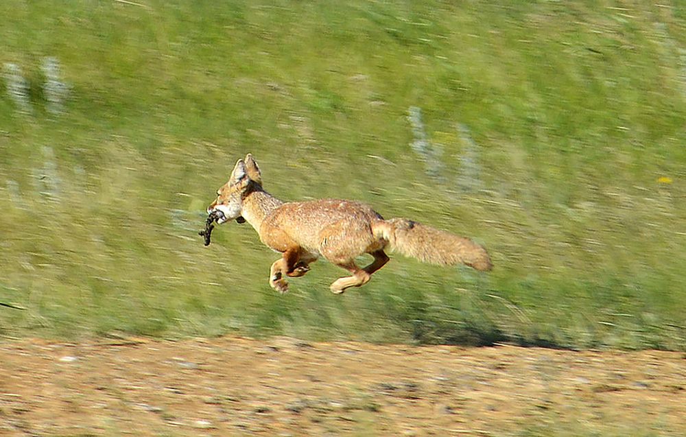 Photograph by Дмитрий Петренко