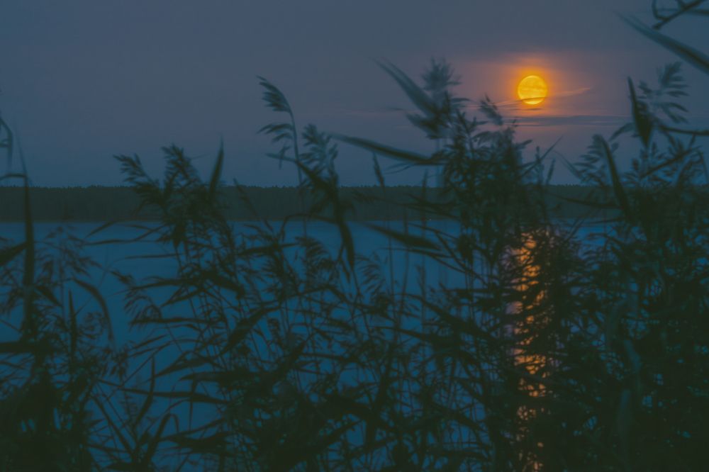 Photograph by Nikolay Surovtsev