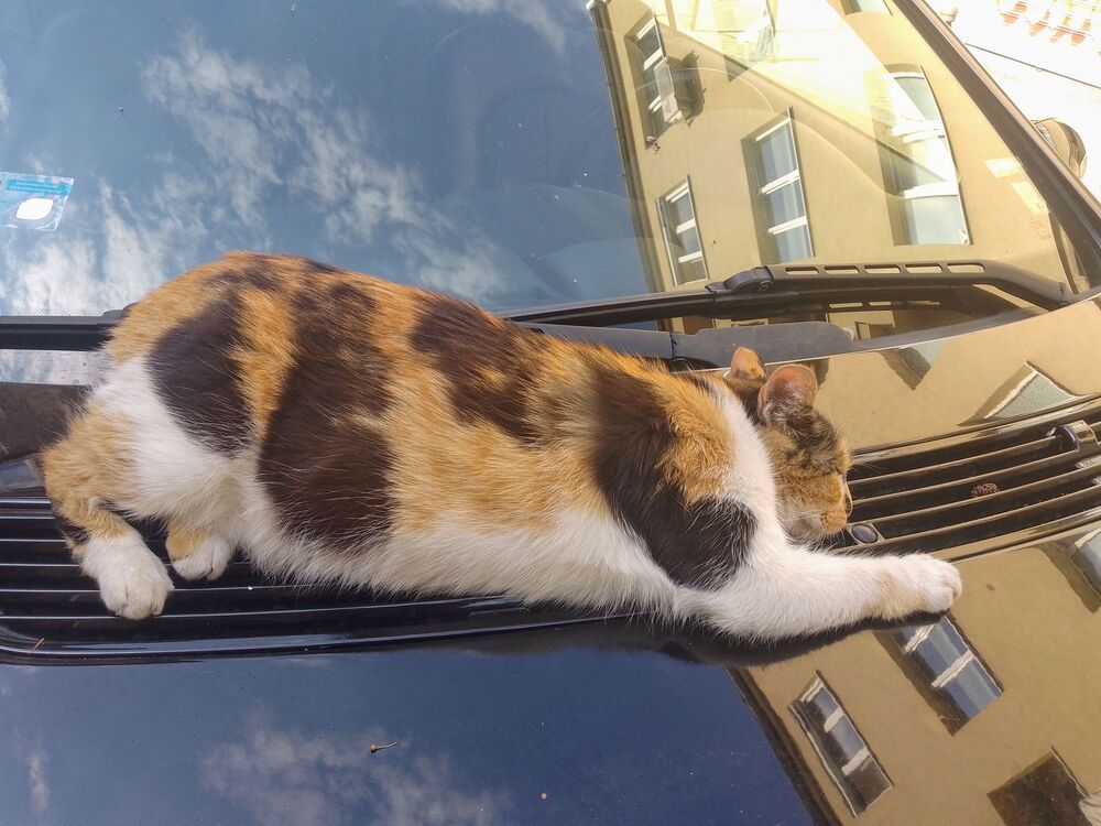 Фотография автора Liliya Slavcheva