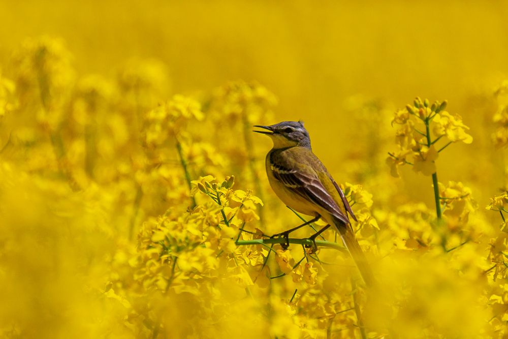 Photograph by Артём Парамонов