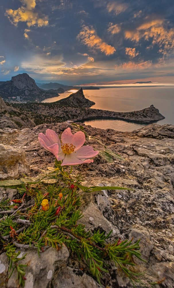 Photograph by Александр Разумов