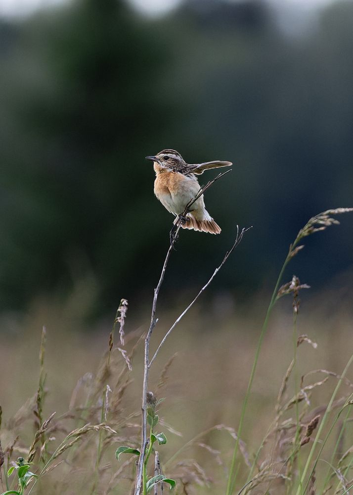 Photograph by Загруев Михаил