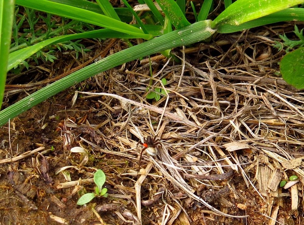 Photograph by Елена Казарина