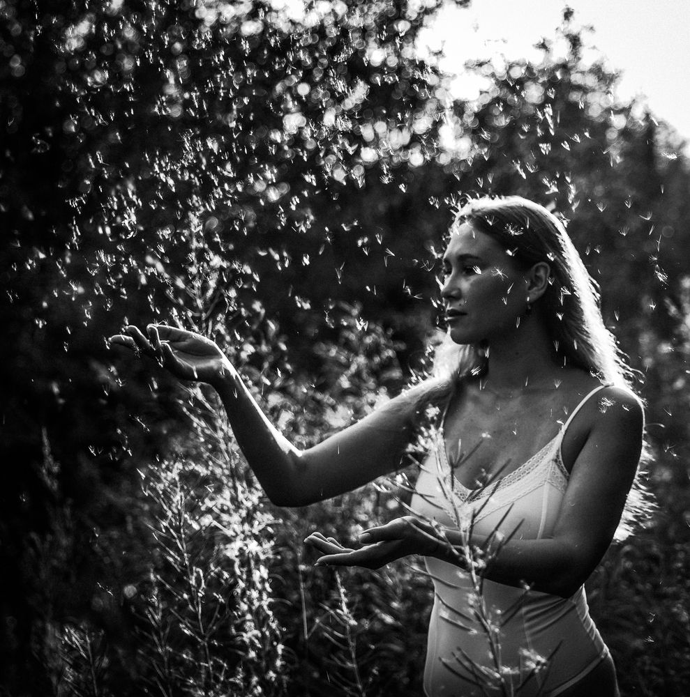 Пушинки цветов