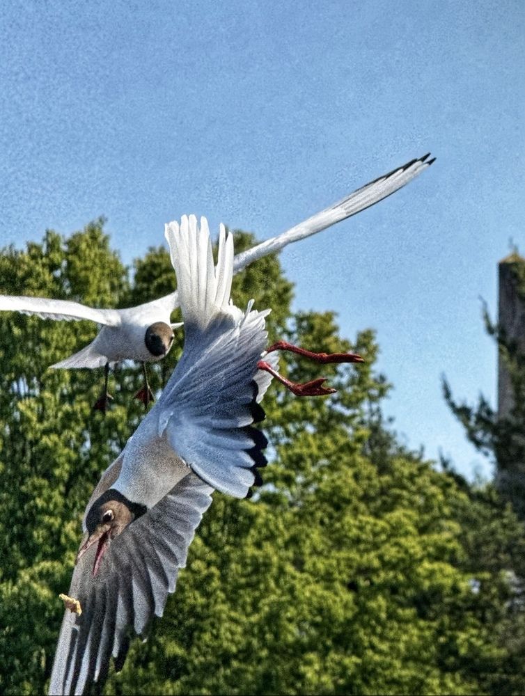 Photograph by Наталия Любчикова