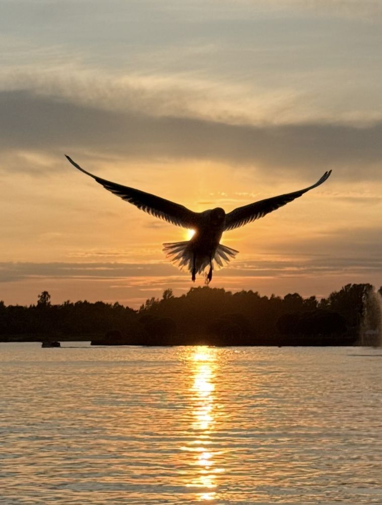 Photograph by Наталия Любчикова