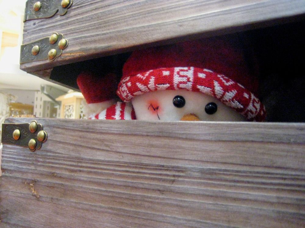 Photo #12459360