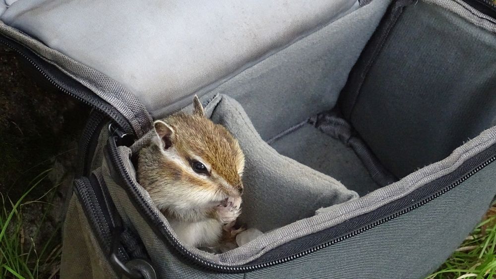 Photograph by Alexsandr Gl